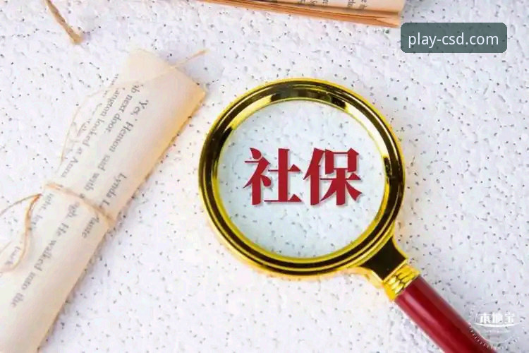 财神到官网与仿冒平台的技术对比：正版体验与安全隐患的深度剖析